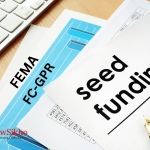 Decorative image for seed funding