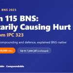 Section 115 BNS: Voluntarily Causing Hurt (IPC 323)